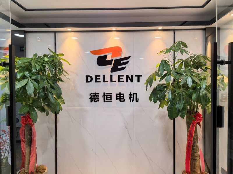 Cina Fuan Dellent Electric &amp; Machinery Co., Ltd. Profil Perusahaan